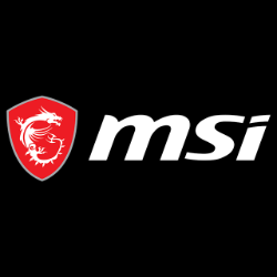 MSI