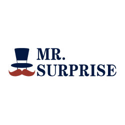 Mr. Surprise